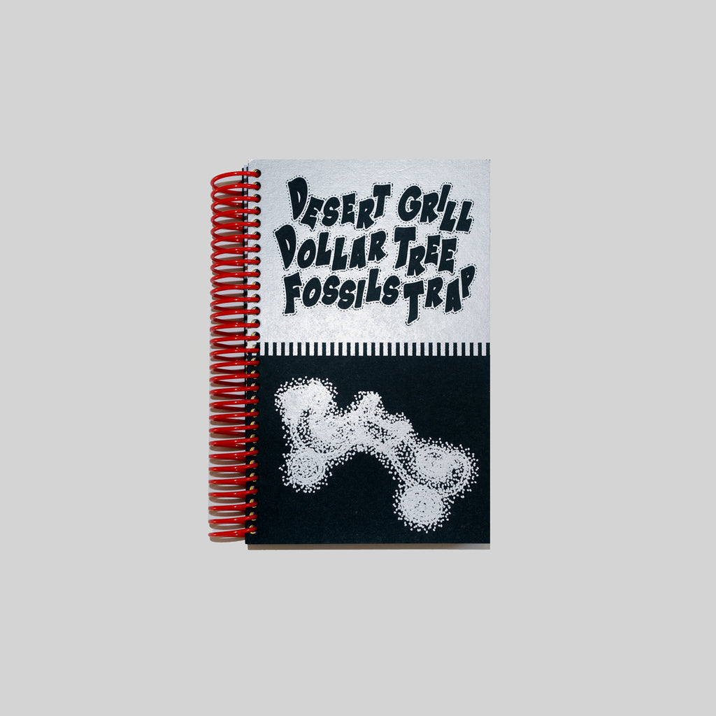 DESERT GRILL DOLLAR TREE FOSSILS TRAP