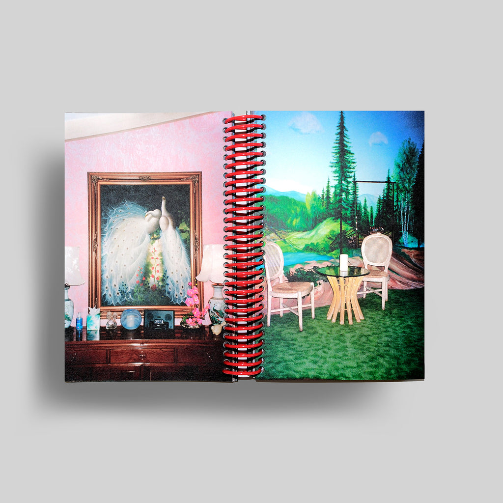 DESERT GRILL DOLLAR TREE FOSSILS TRAP