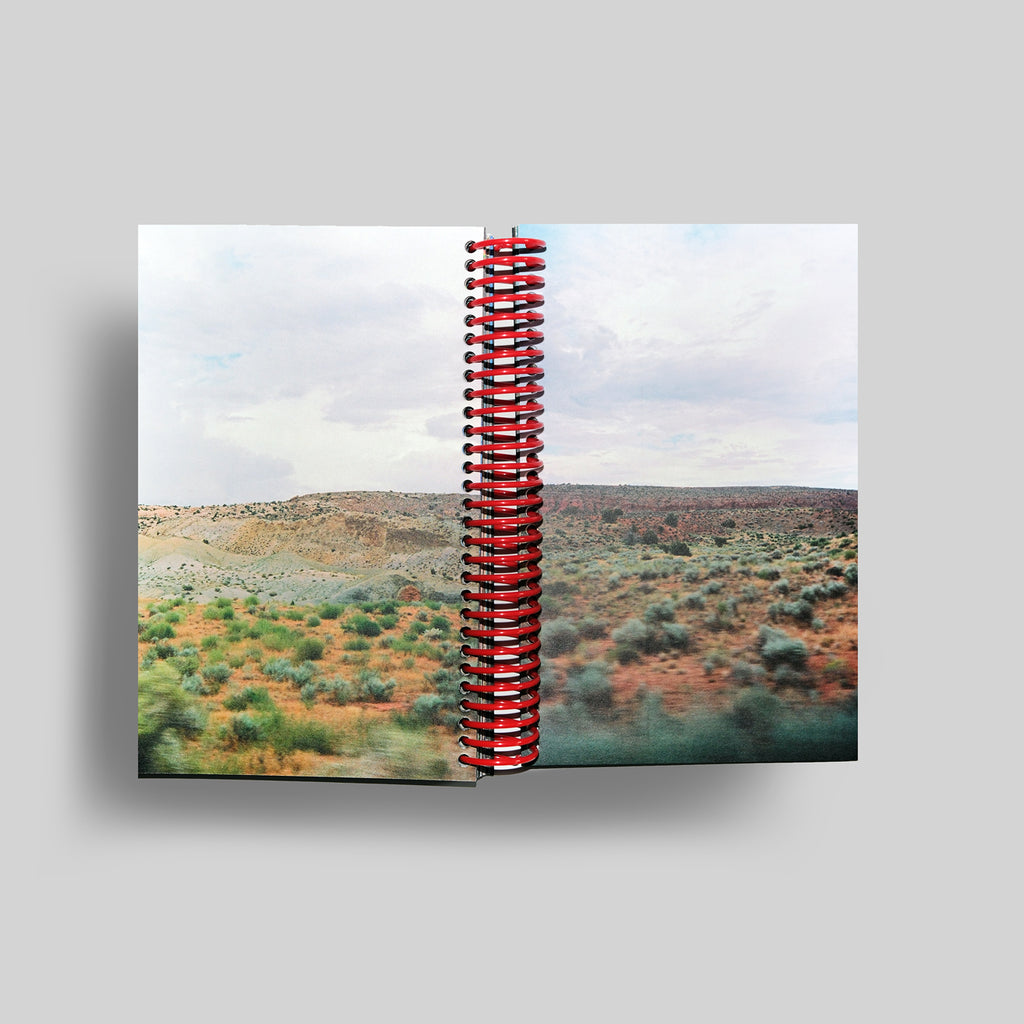 DESERT GRILL DOLLAR TREE FOSSILS TRAP