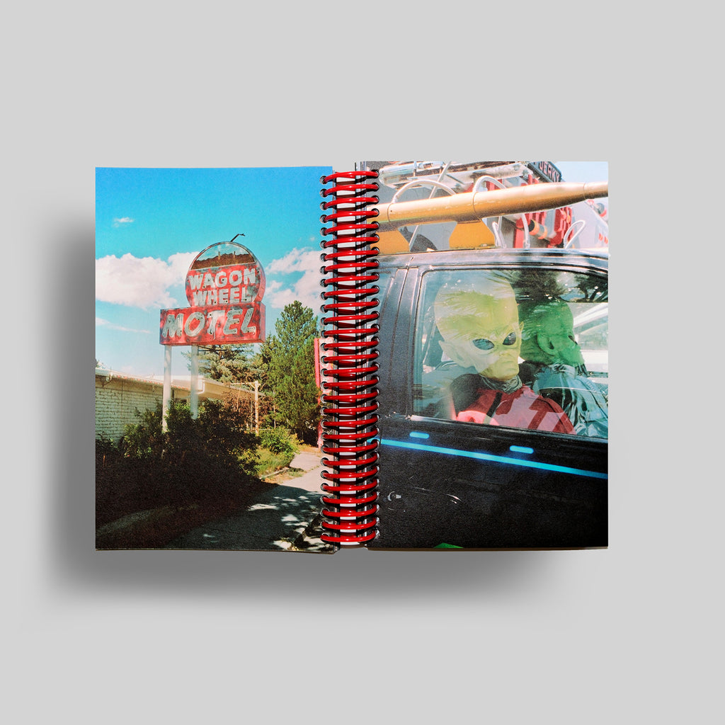 DESERT GRILL DOLLAR TREE FOSSILS TRAP