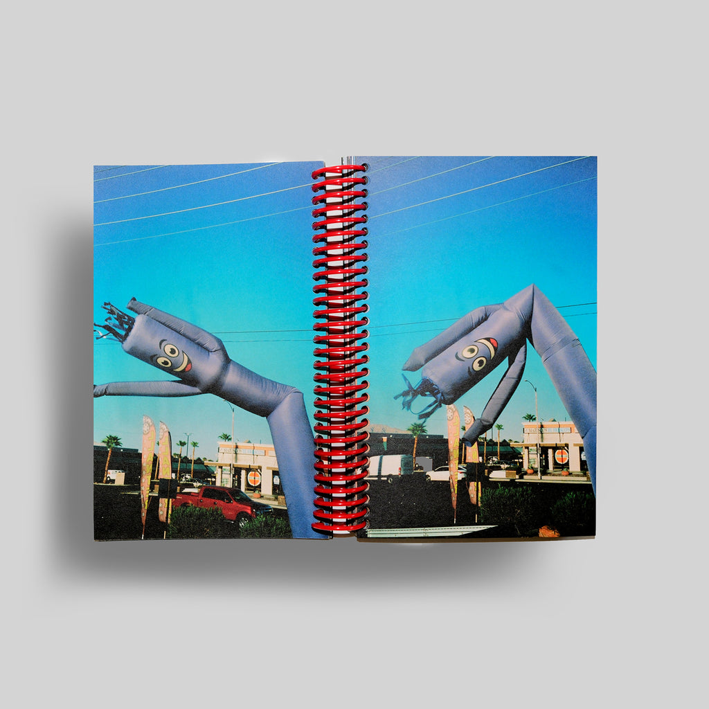 DESERT GRILL DOLLAR TREE FOSSILS TRAP