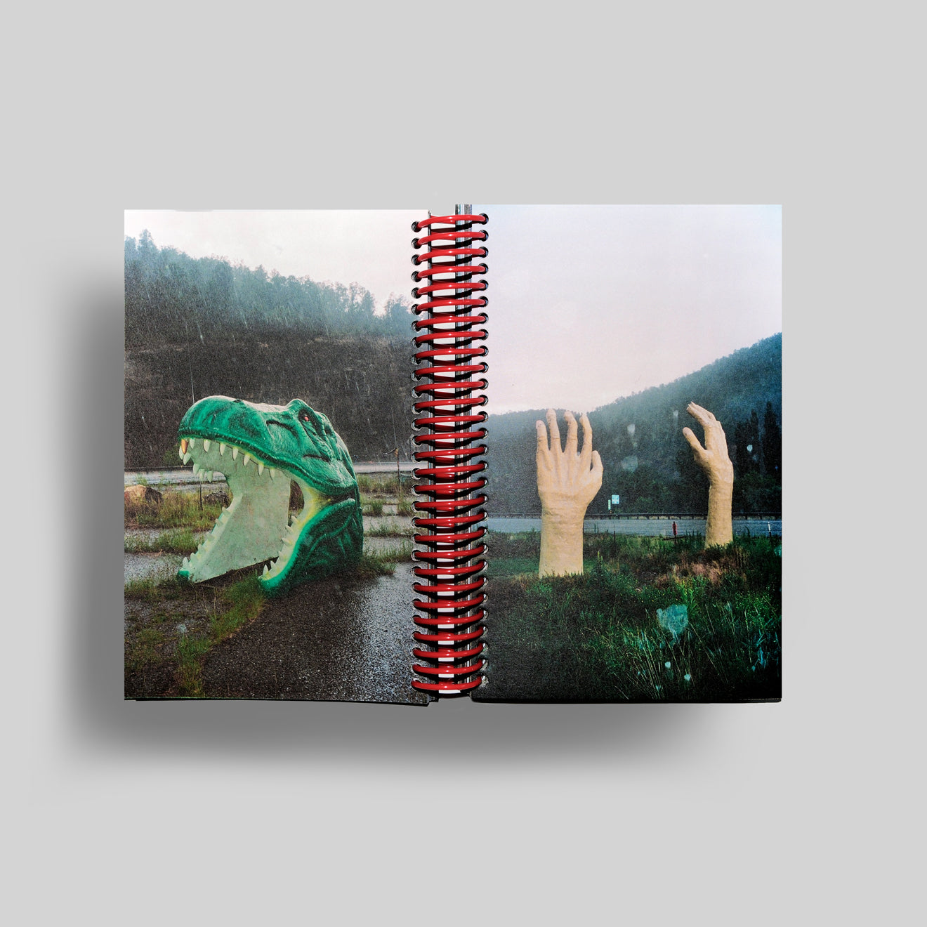 DESERT GRILL DOLLAR TREE FOSSILS TRAP