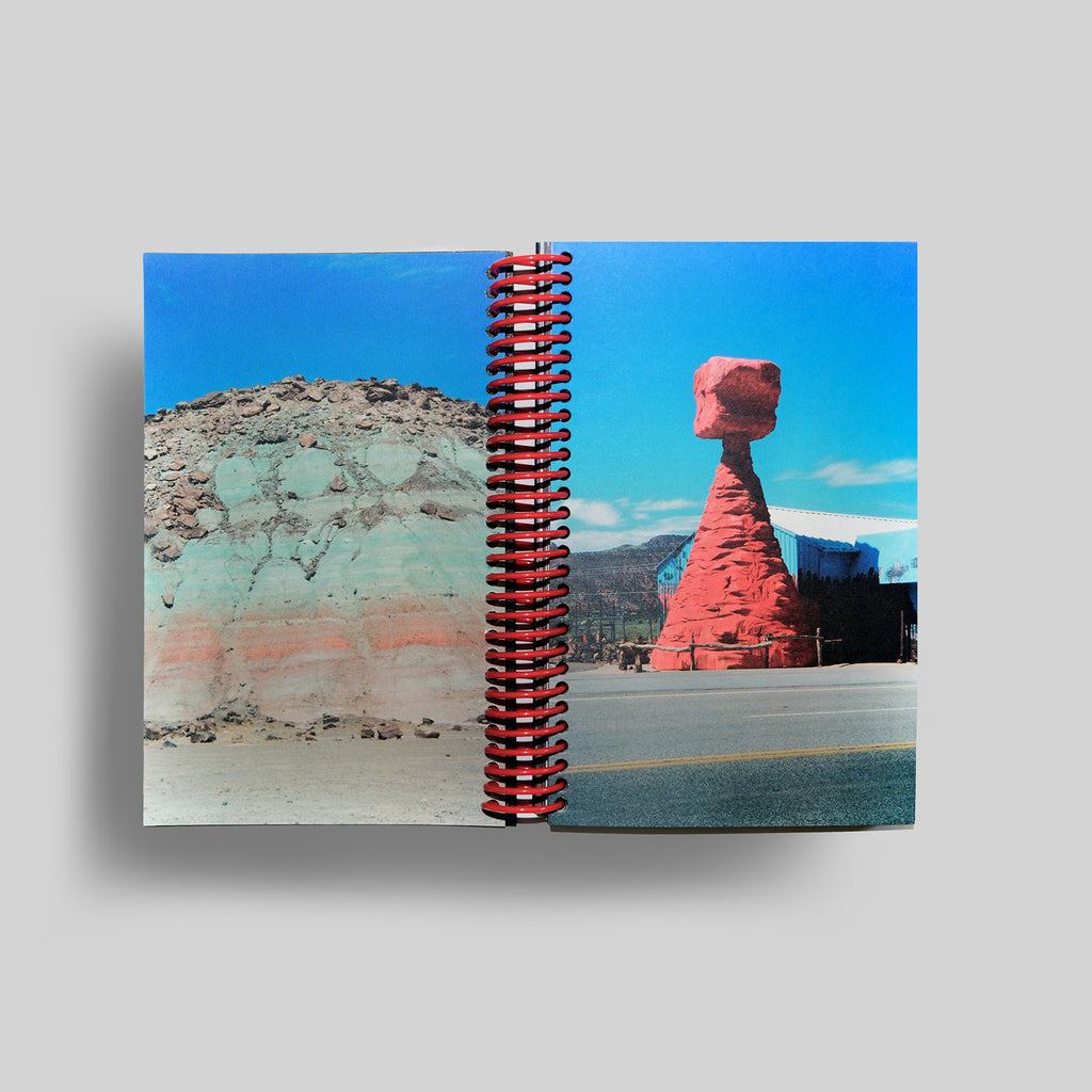 DESERT GRILL DOLLAR TREE FOSSILS TRAP