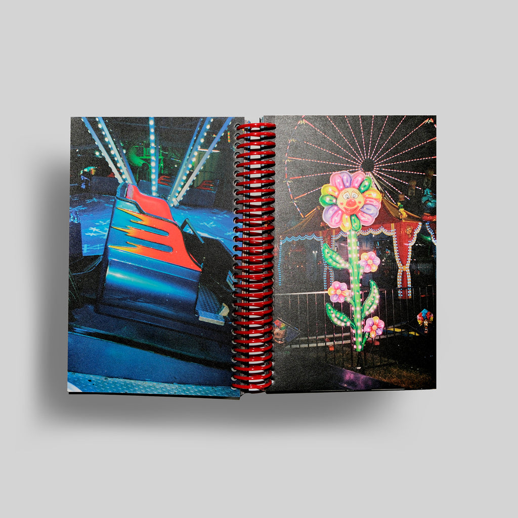 DESERT GRILL DOLLAR TREE FOSSILS TRAP