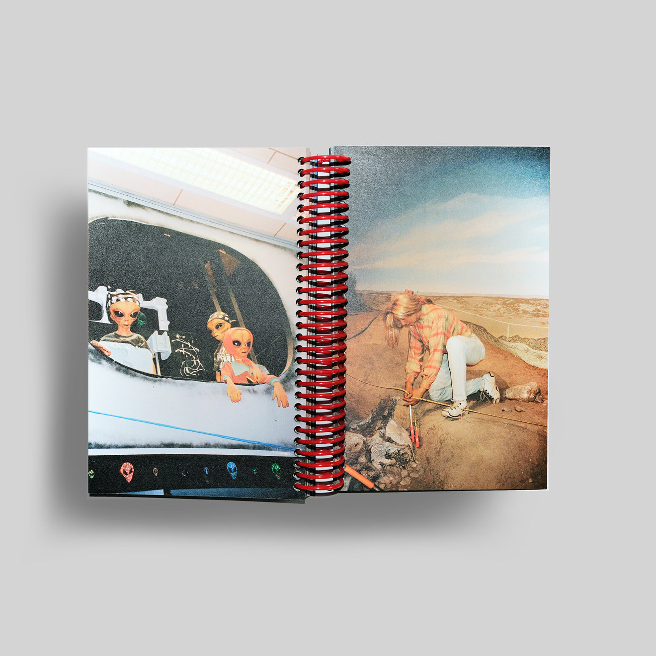 DESERT GRILL DOLLAR TREE FOSSILS TRAP