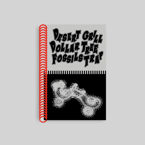 DESERT GRILL DOLLAR TREE FOSSILS TRAP