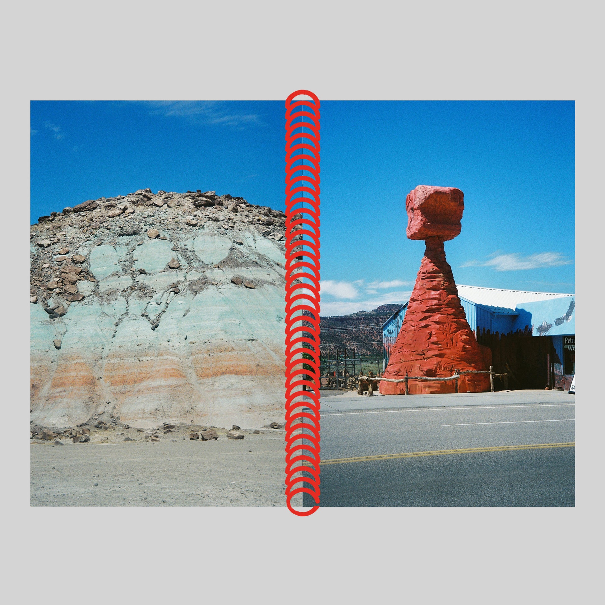 DESERT GRILL DOLLAR TREE FOSSILS TRAP