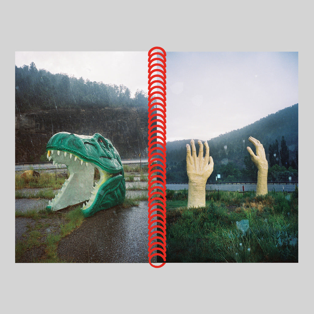 DESERT GRILL DOLLAR TREE FOSSILS TRAP