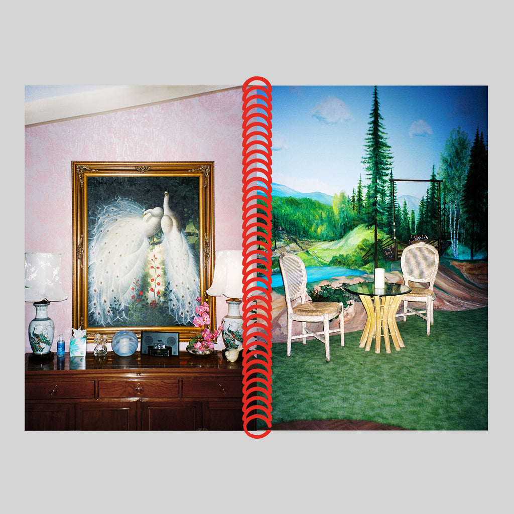 DESERT GRILL DOLLAR TREE FOSSILS TRAP