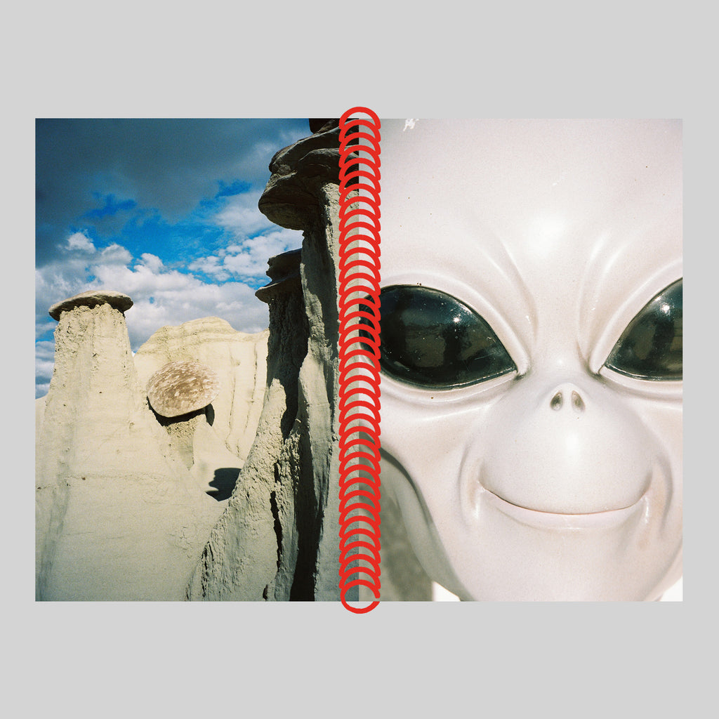 DESERT GRILL DOLLAR TREE FOSSILS TRAP