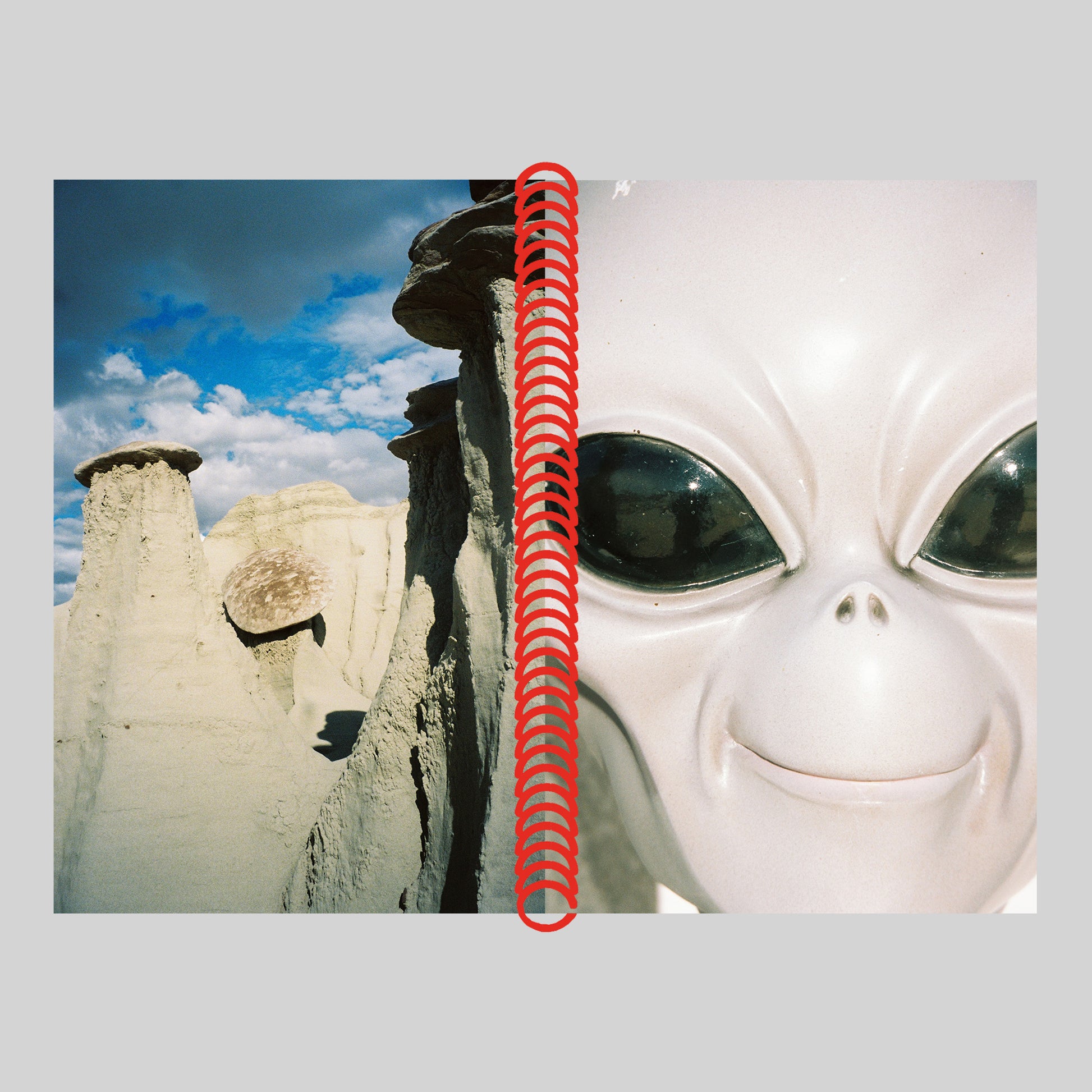 DESERT GRILL DOLLAR TREE FOSSILS TRAP