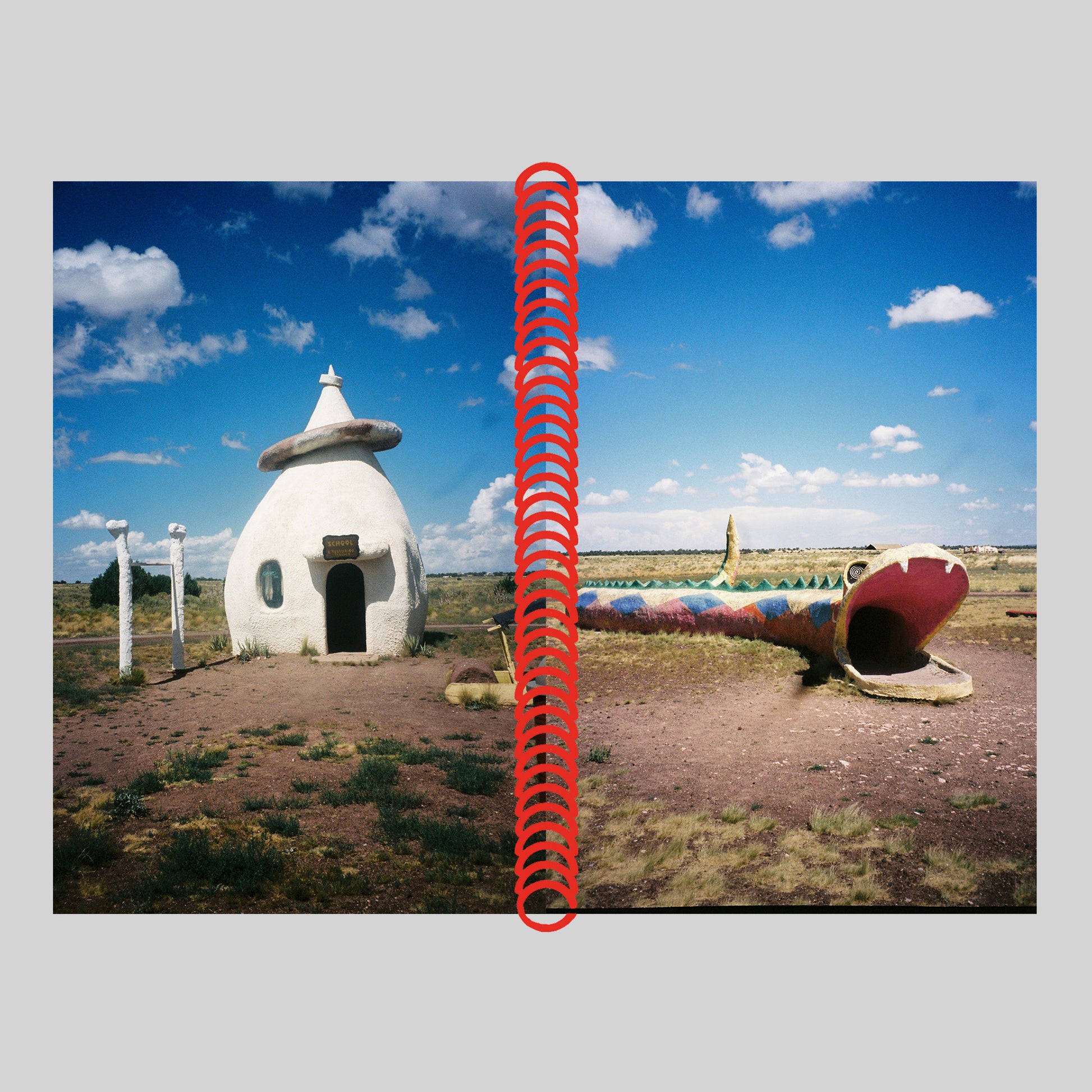 DESERT GRILL DOLLAR TREE FOSSILS TRAP