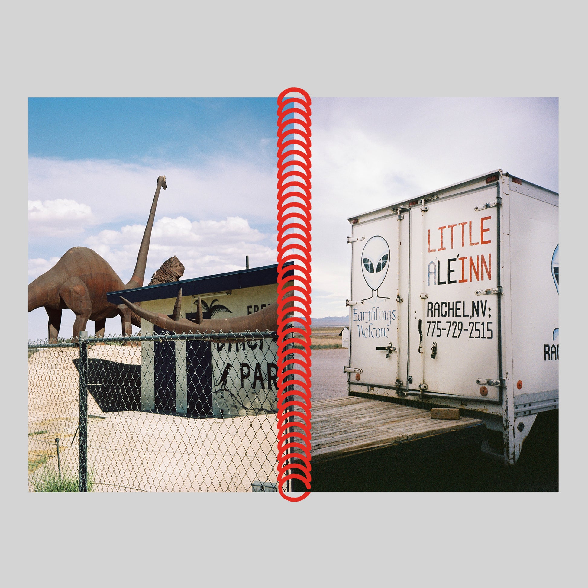 DESERT GRILL DOLLAR TREE FOSSILS TRAP