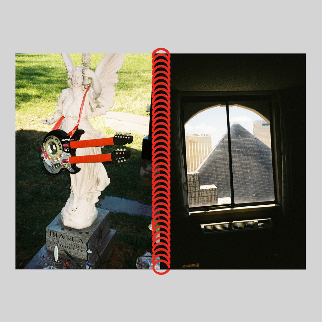 DESERT GRILL DOLLAR TREE FOSSILS TRAP