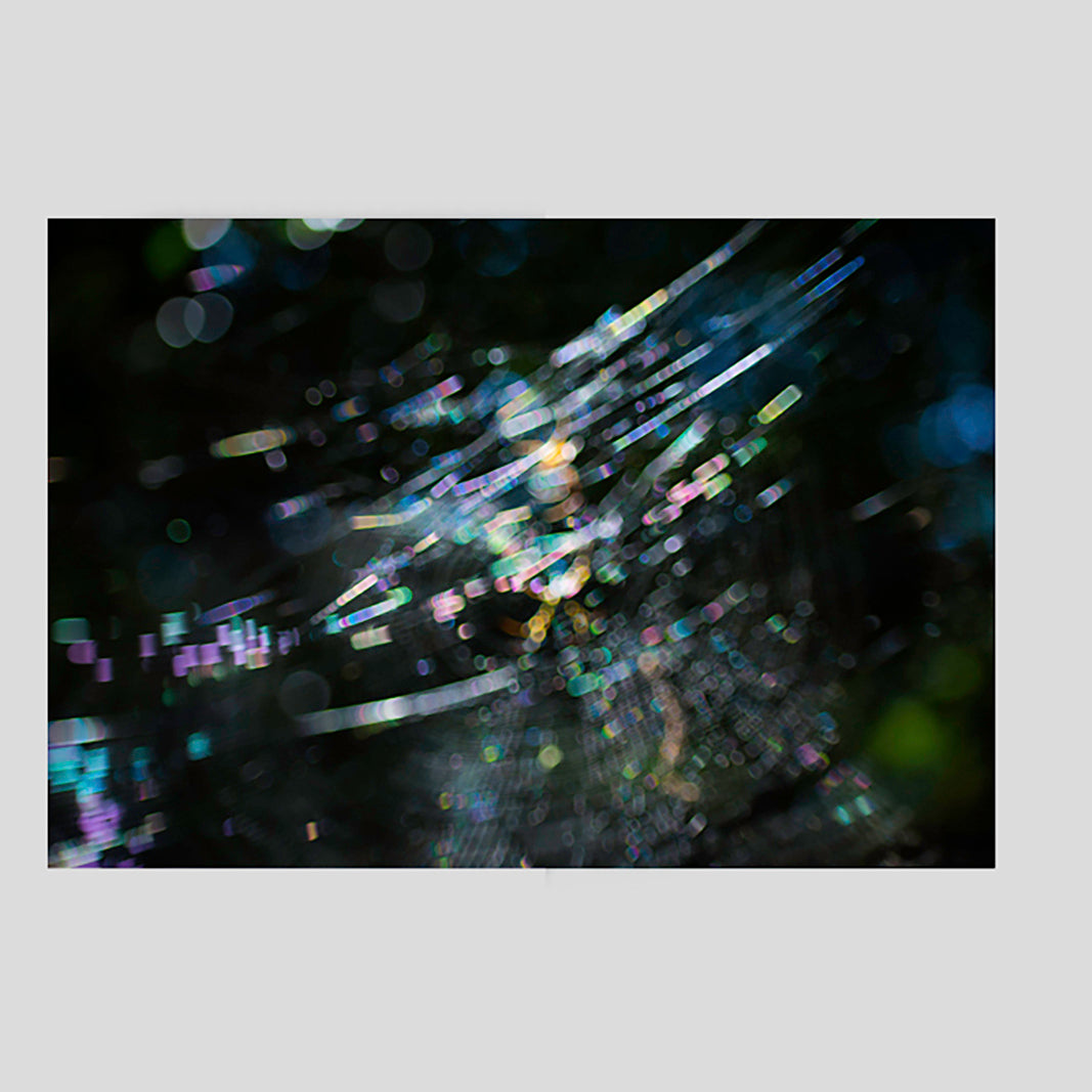 Symphony II