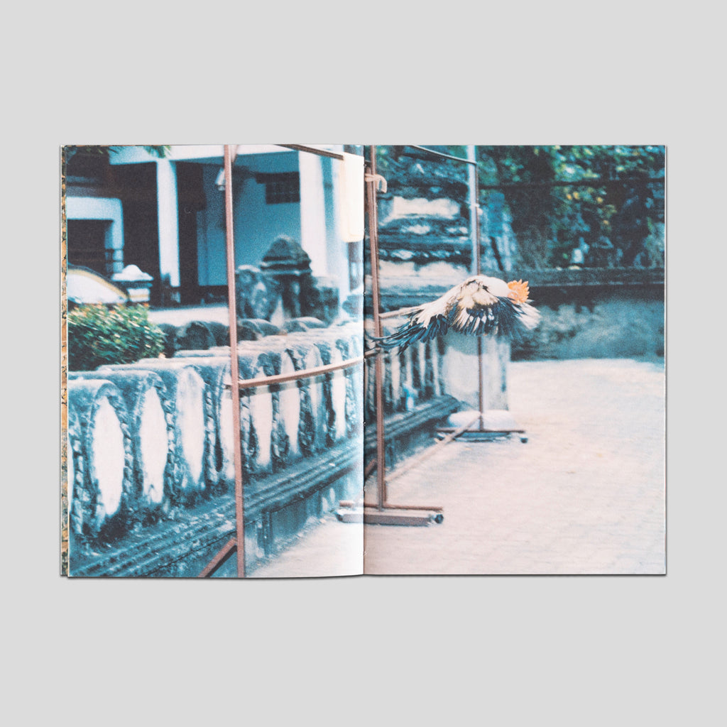 Soi 2
