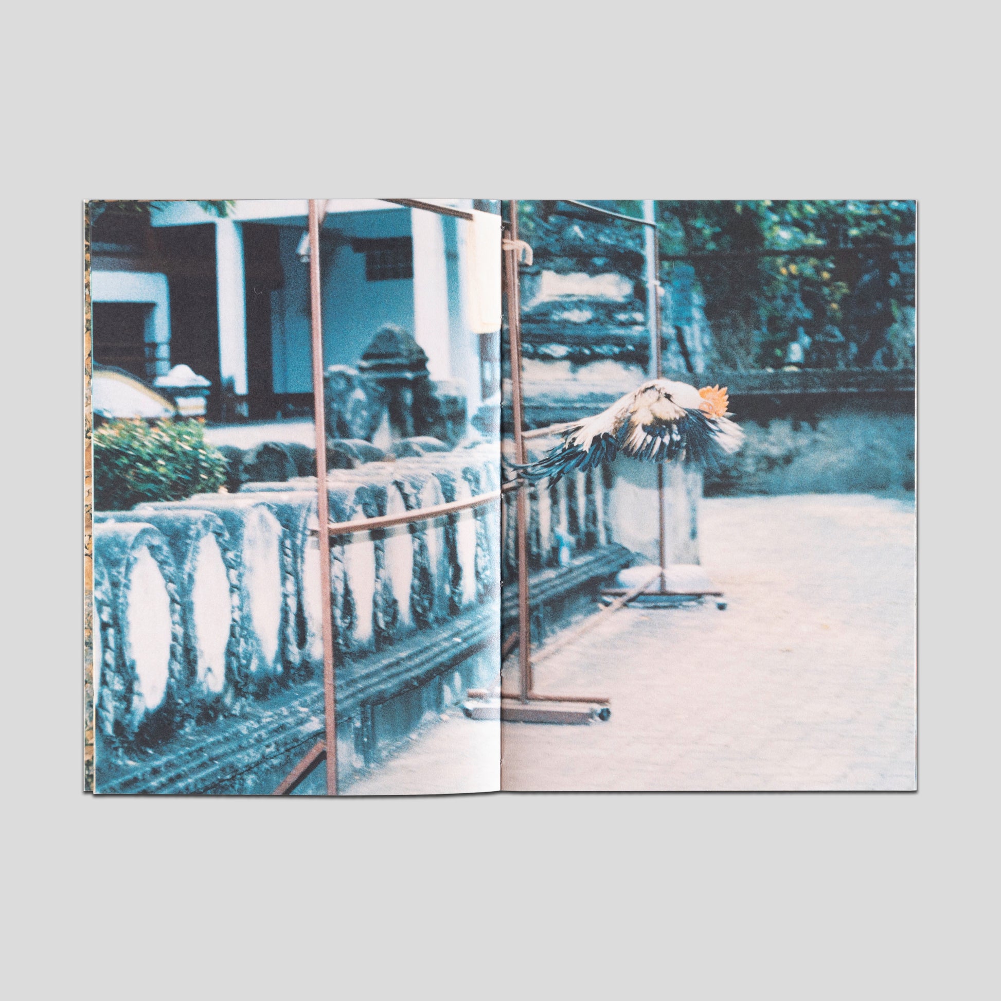 Soi 2